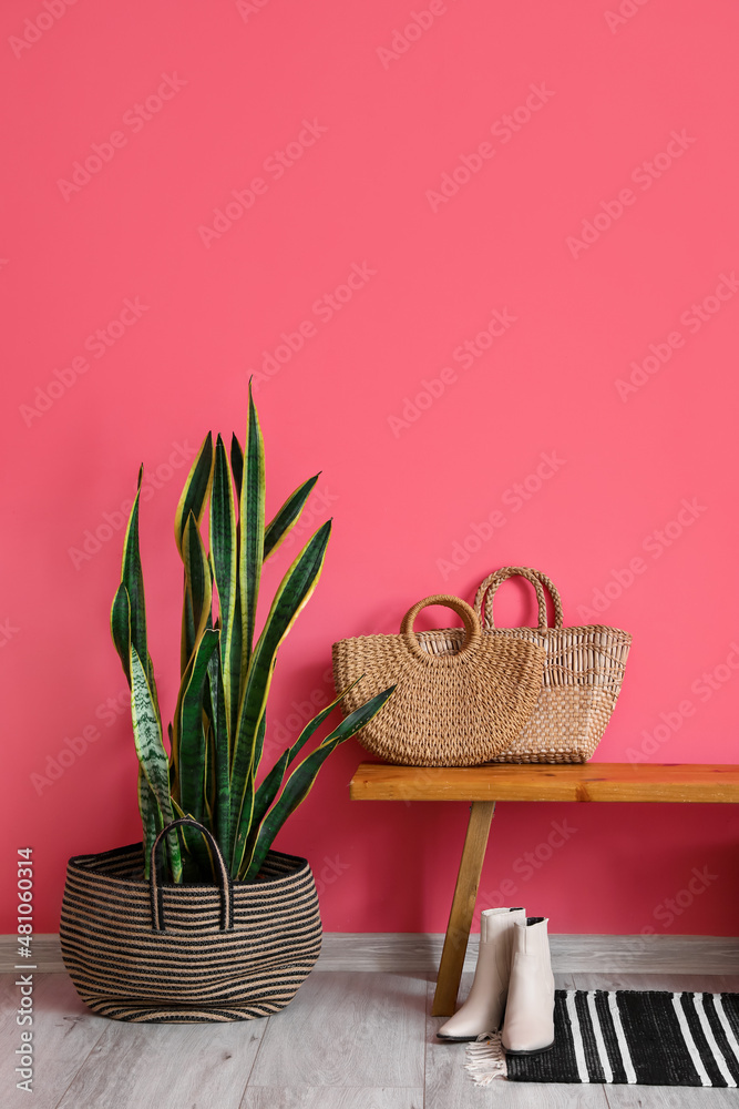 粉色墙壁附近带柳条袋、女鞋和室内植物的木制长椅