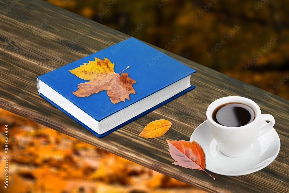 在落叶的背景下，一杯茶和一本书，秋天的季节