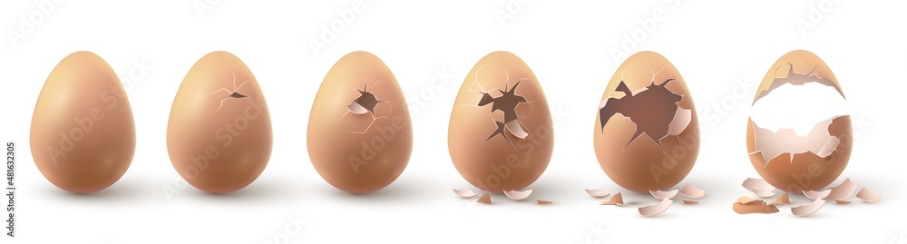 逼真的农场鸡蛋破碎，孵化小鸡阶段。蛋壳碎片破碎的鸡蛋。3d碎片