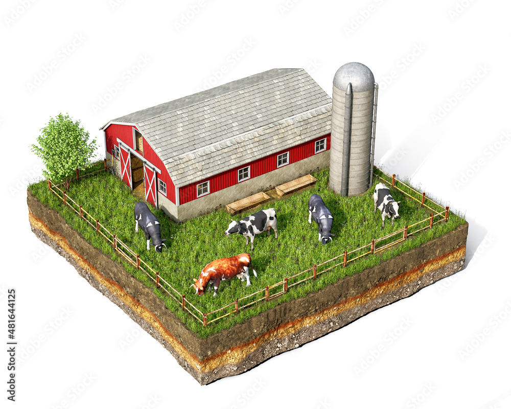 牲畜概念，带奶牛的围栏，谷仓和电梯在一块地上，隔离在白色ba上