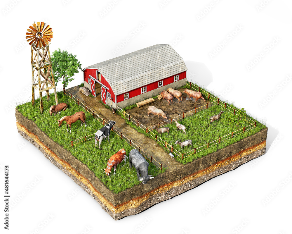 Livestock concept, barnyard with animals in enclosure, pigs, cows, horses, goats, dog and cat on a p