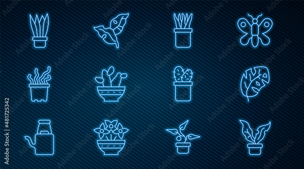 盆栽植物、热带树叶、仙人掌、异国热带植物和图标矢量