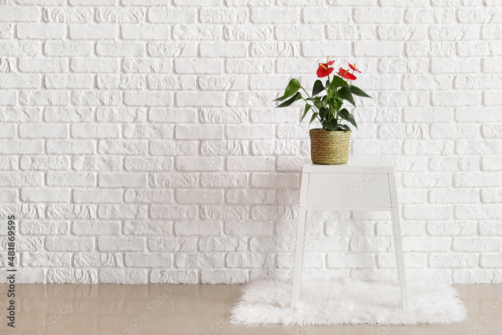 白砖墙附近桌子上的红掌花
