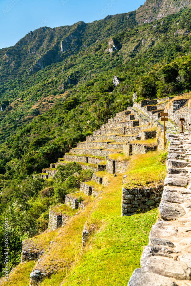 Ancient Incan terraces at Machu Picchu. UNESCO world heritage in Peru