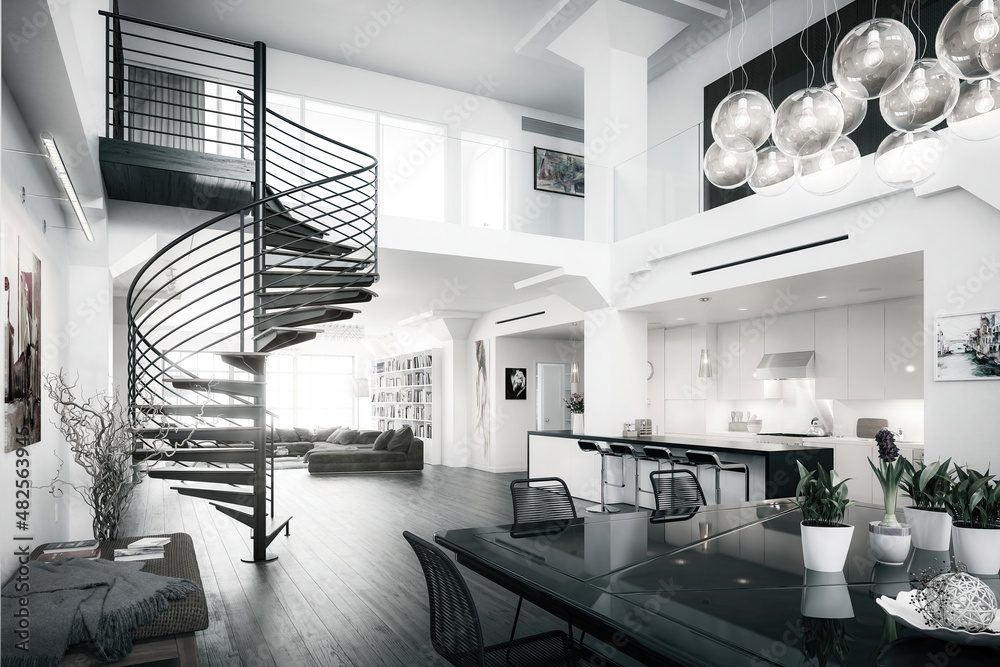 带螺旋楼梯和家具的现代Mansarde公寓-黑白三维可视化