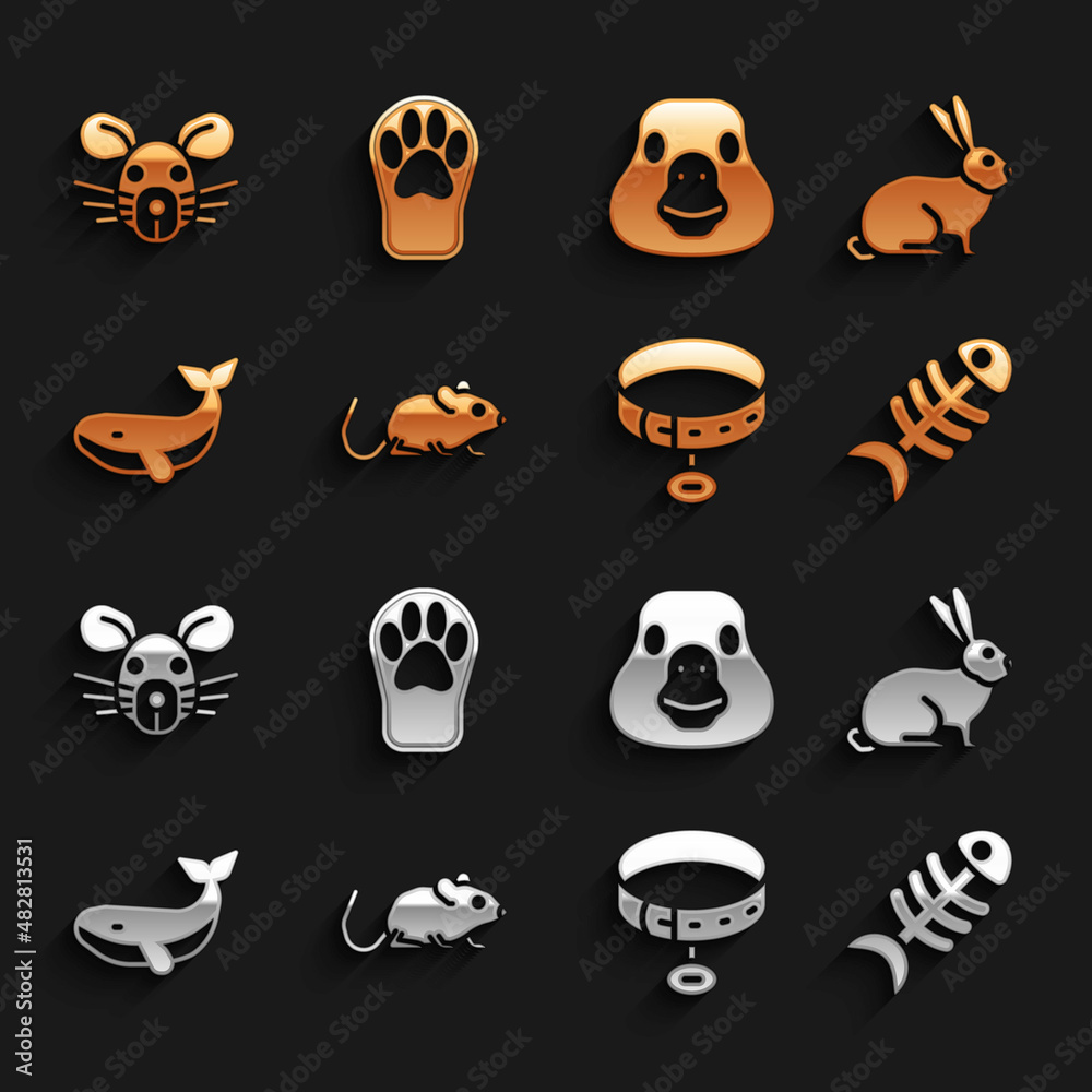 Set Rat, Rabbit, Fish skeleton, Collar with name tag, Whale, Goose bird, head and Paw print icon. Ve