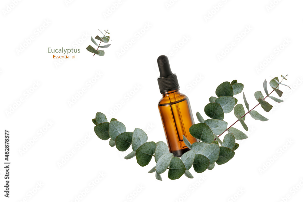 Eucalyptus essential oil glass bottle,  aromatic herbs bunch and twigs flying isolated on white back