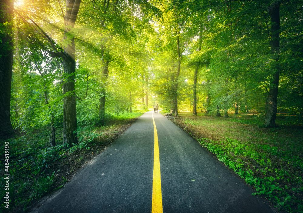 Beautiful road in green forest at sunset in summer. Colorful landscape with woods, bike road, walkin