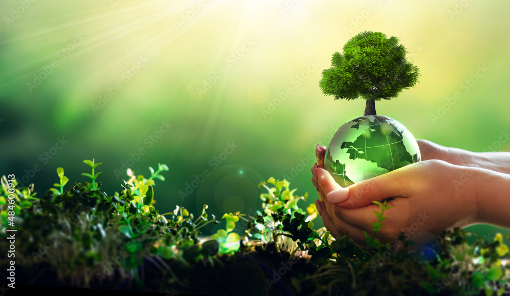 地球日和植树节概念。环境，拯救清洁地球，生态。手持水晶耳环