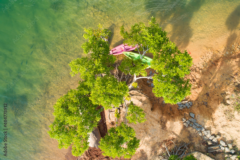 从湖面或池塘上方拍摄的带有树木的运动独木舟的无人机航拍照片令人惊叹的俯视图na