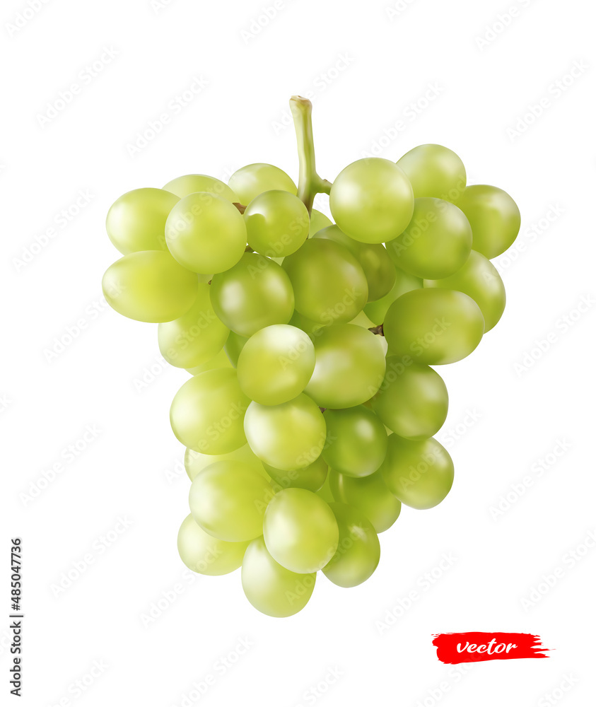 白色上分离的绿色葡萄。黄色葡萄的真实矢量图。