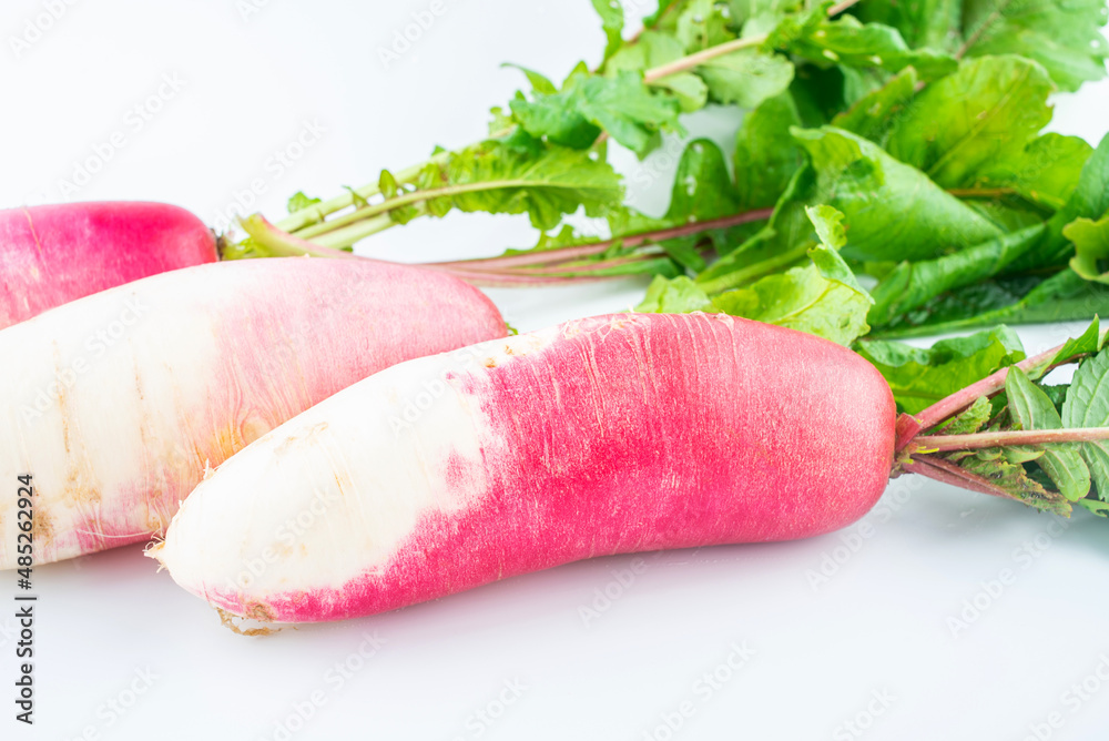 白色背景下的新鲜有机蔬菜红宝石水果萝卜