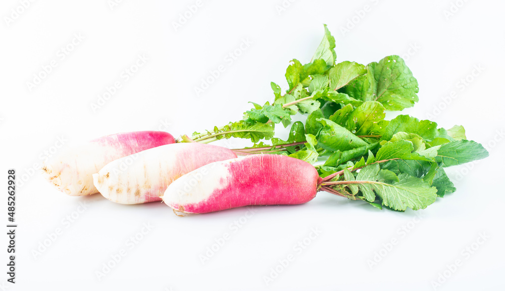 新鲜有机蔬菜白底红宝石果萝卜
