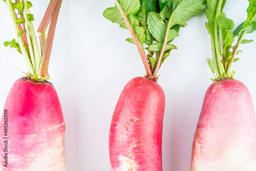 Fresh organic vegetables ruby fruit radish on white background