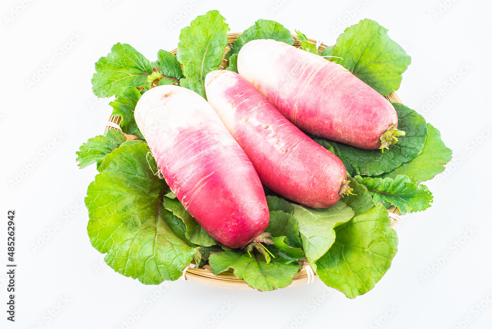 Fresh ruby fruit radish in a pot on a white background