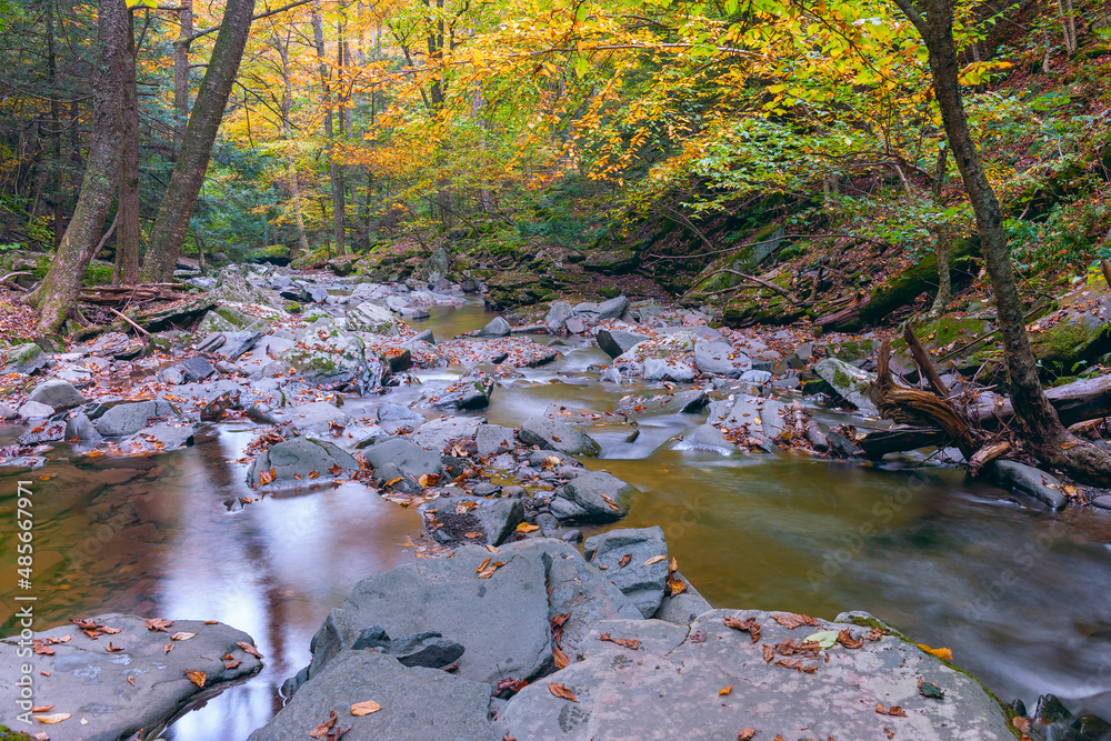 秋天的普拉特基尔溪。普拉特三叶草保护区。格林县。美国纽约