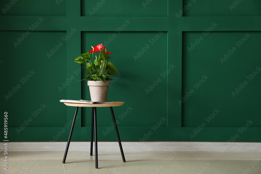 Table with Anthurium flower and newspaper near color wall