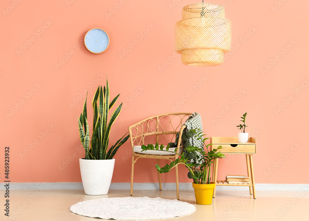 粉色墙壁附近的柳条椅、木桌和室内植物