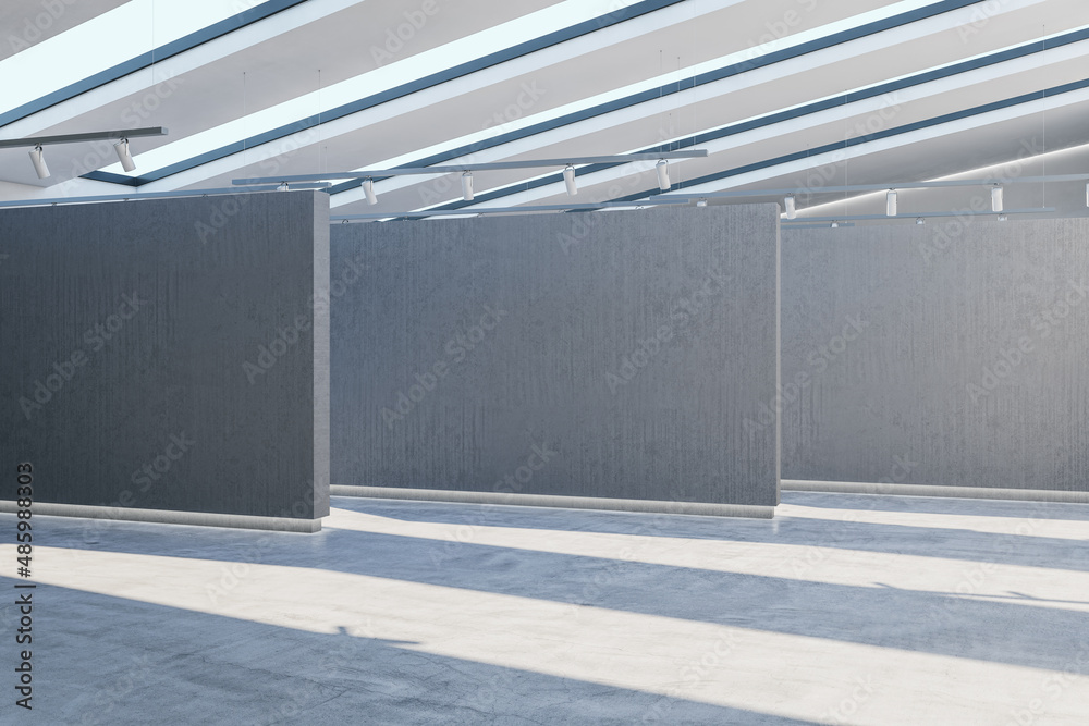 现代混凝土展厅内部，墙上有空的实体模型和阳光。3D渲染