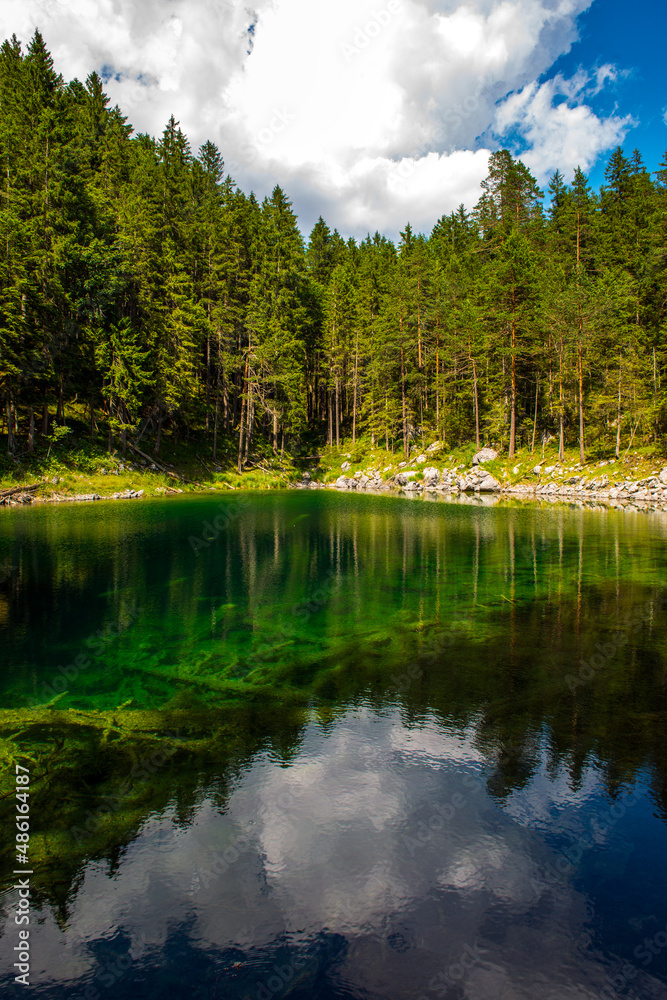 德国巴伐利亚森林中的湖泊