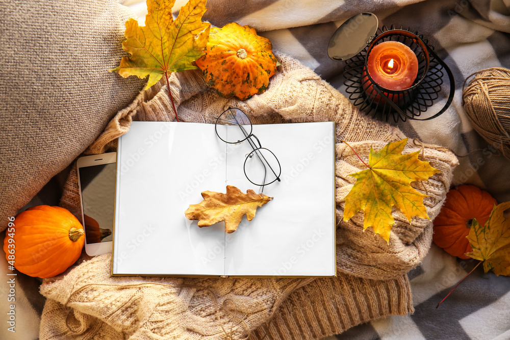 Book, eyeglasses and autumn decor on plaid in room