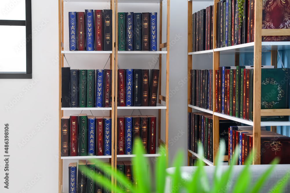 家庭图书馆的现代化书架单元
