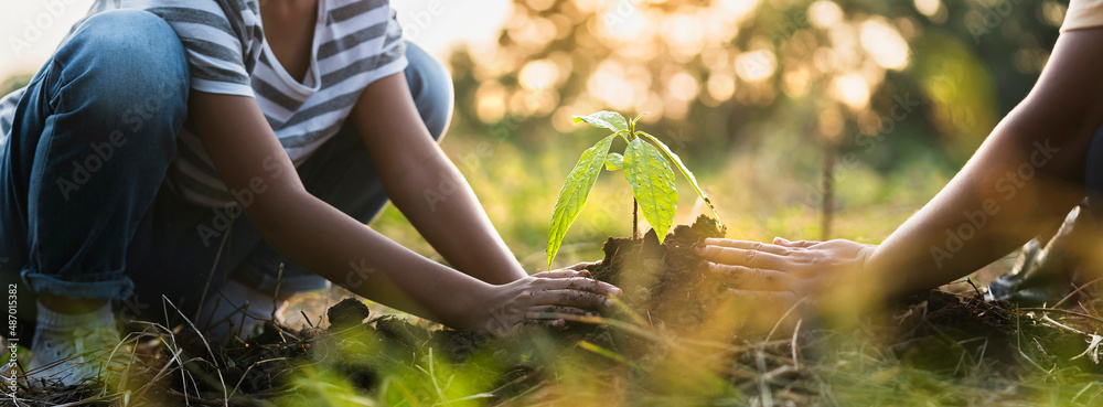母亲带着孩子在大自然中帮助植树，拯救地球。环境生态理念