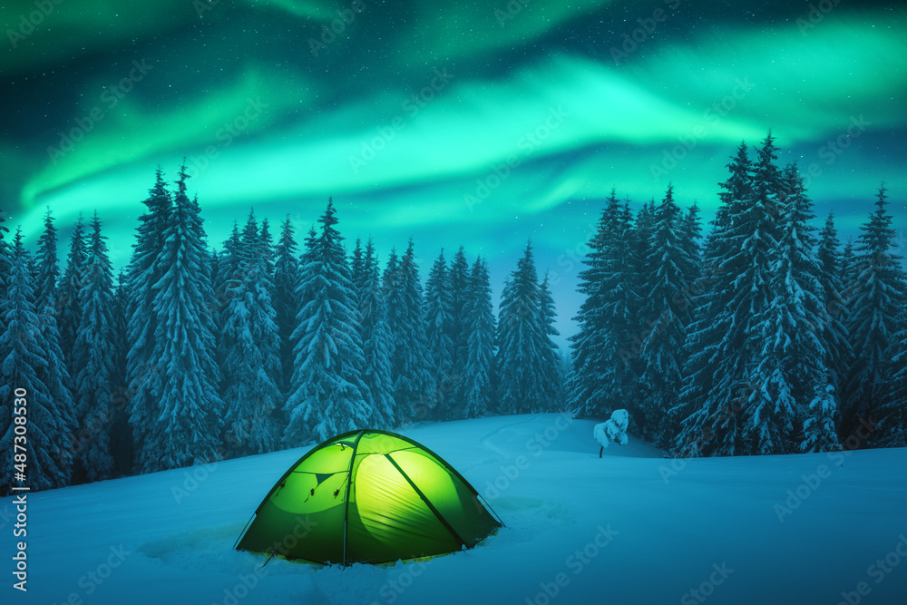 黄色帐篷从内部照亮，背景是令人难以置信的星空和北极光