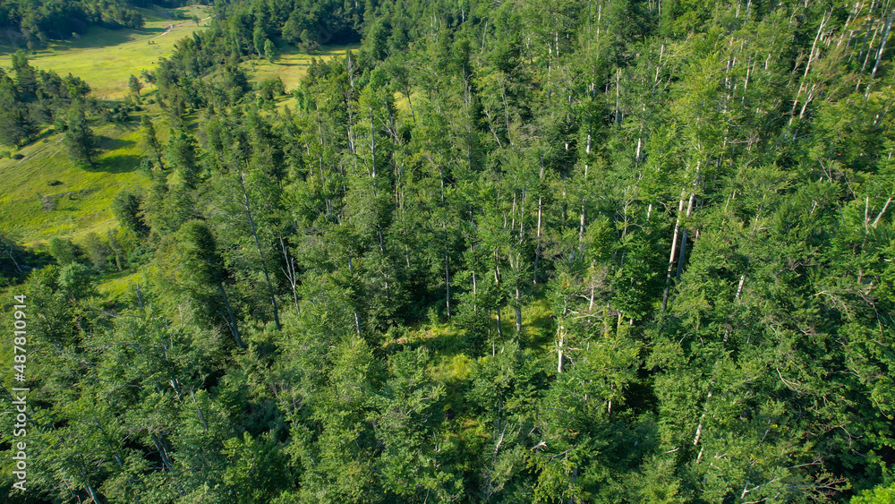空中飞航：飞越斯洛文尼亚一片郁郁葱葱的绿色森林。