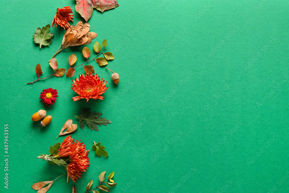 以菊花和天然森林装饰为背景的秋季构图