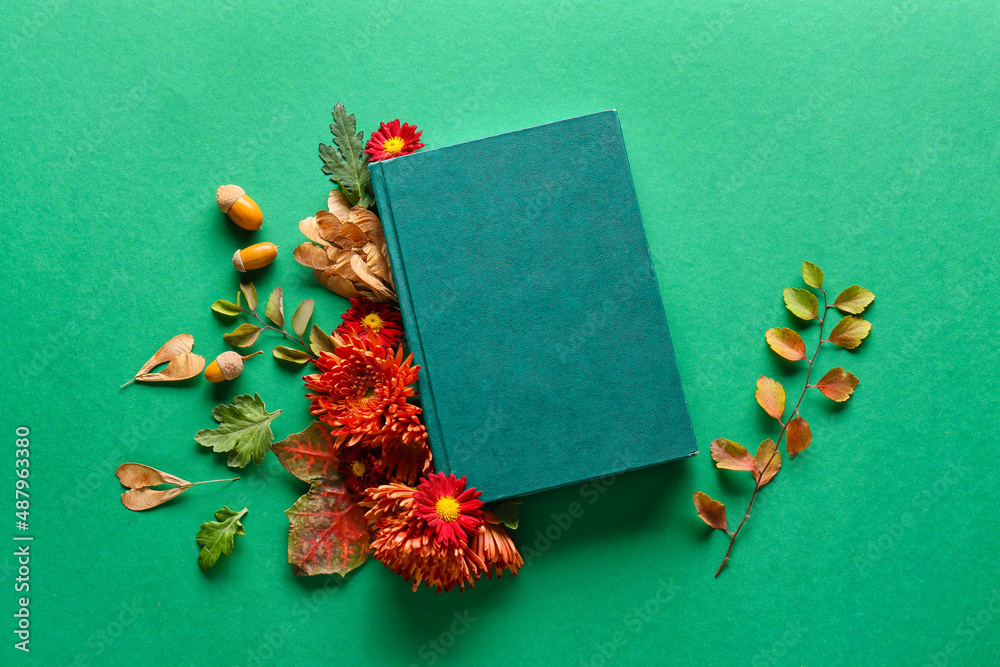 绿色背景下的书、菊花和叶子的构图
