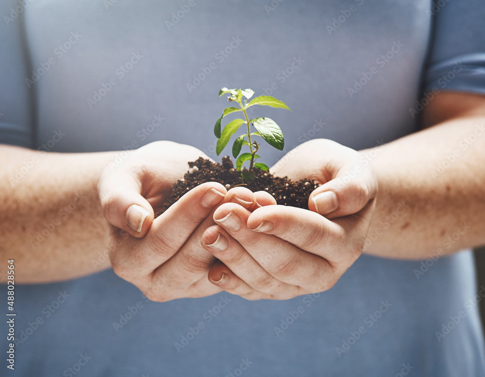 Tomorrow will be even bigger than today. Cropped shot of a person holding a plant growing in soil.