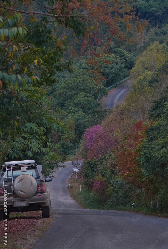 一辆车停在一条陡峭的山路上，路上有五颜六色的秋色森林