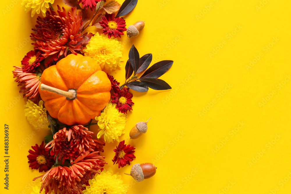 黄色背景下菊花、南瓜和橡子的美丽构图，特写