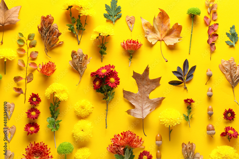美丽的秋天构图，黄色背景上有菊花和天然森林装饰