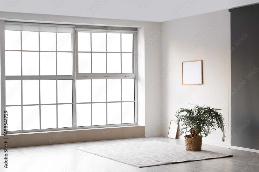 带室内植物、框架和地毯的空房间视图