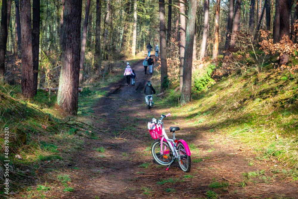 波兰，女孩们在树林里的小路上骑车