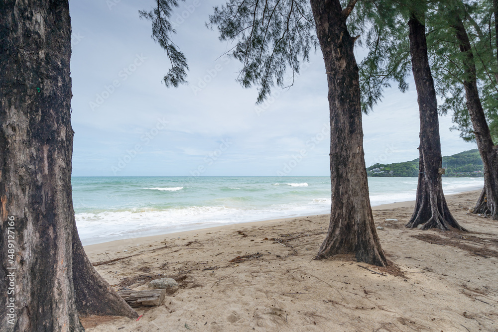 Phuket beach Summer beach with pine trees around in Phuket island Thailand, Beautiful tropical beach