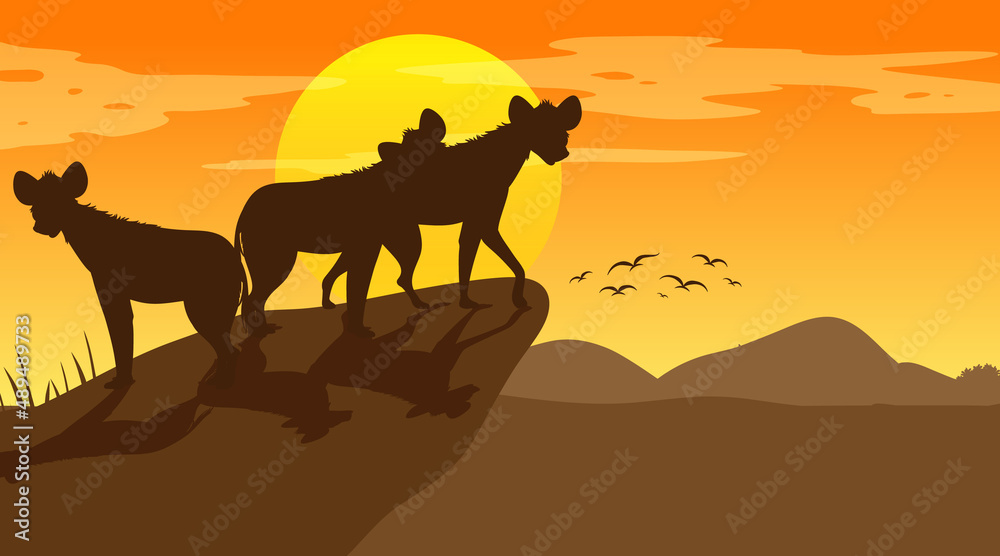 Hyenas silhouette at savanna forest