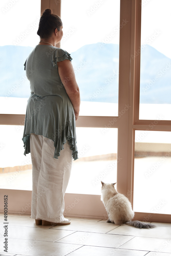 Appreciating the view together. A woman and her cat standing at a window and looking at the view.