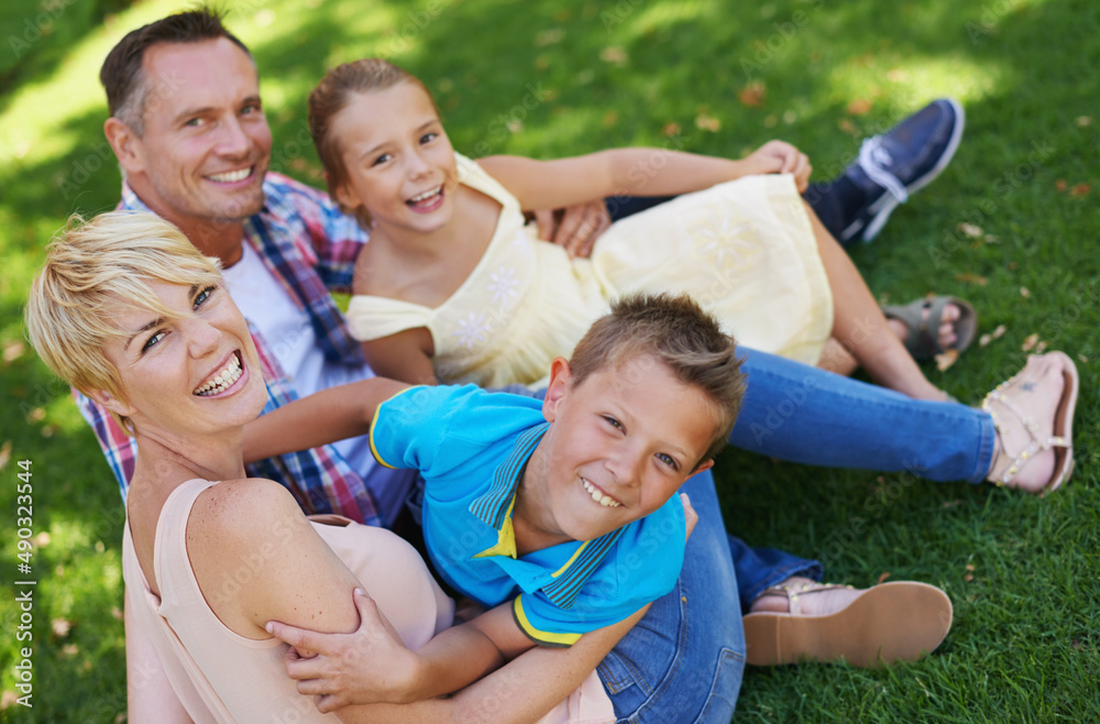 这是一个难忘的夏天。一个幸福的家庭一起坐在草地上的画像