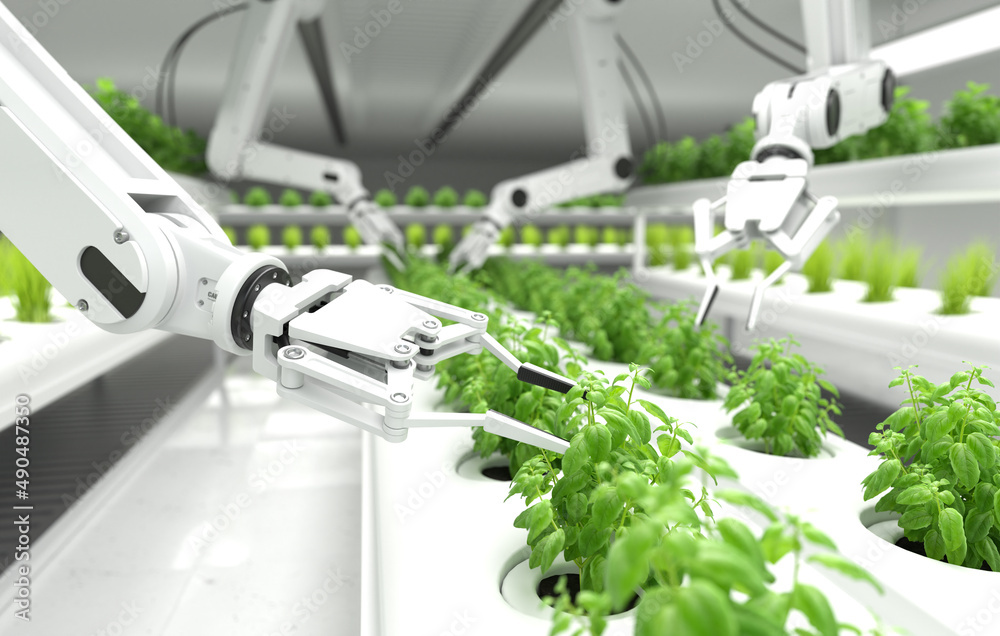 智能机器人农民概念，机器人农民，农业技术，农场自动化。