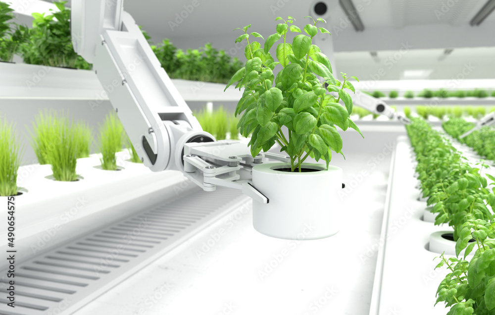 智能机器人农民概念，机械臂采摘有机蔬菜。