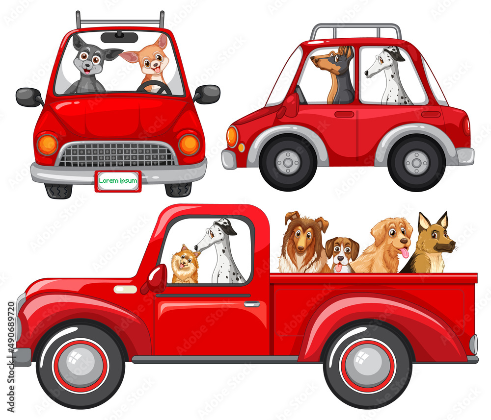 不同红色汽车中的狗