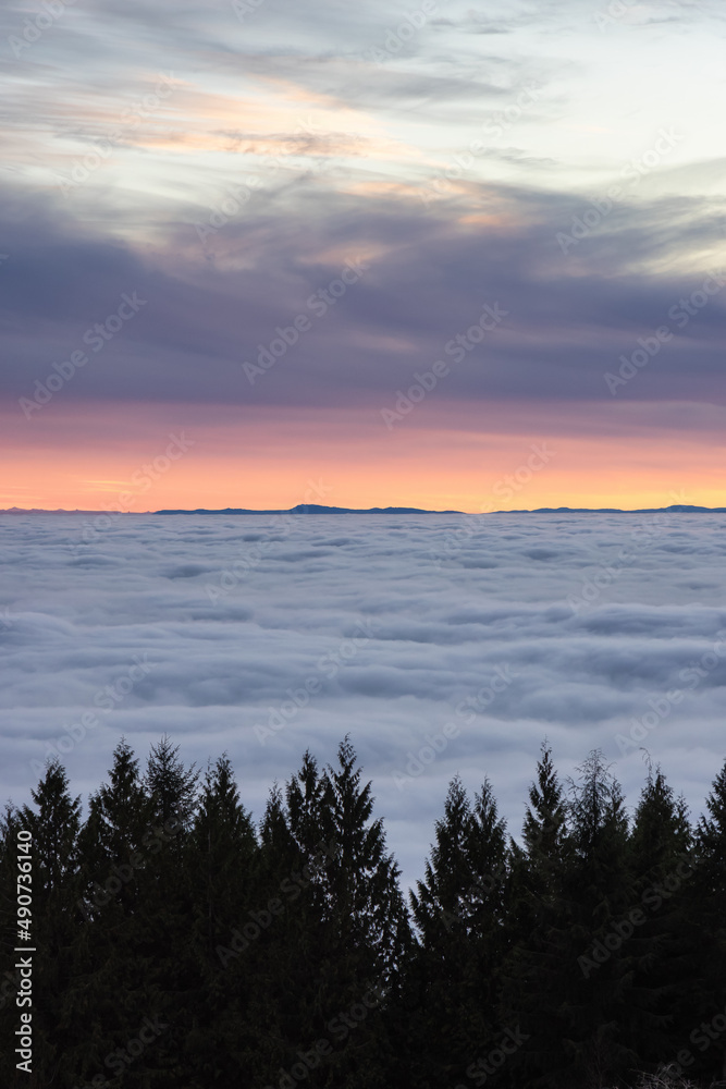 加拿大在云上的山上的常青树的自然景观。戏剧性的冬季日落。拍摄