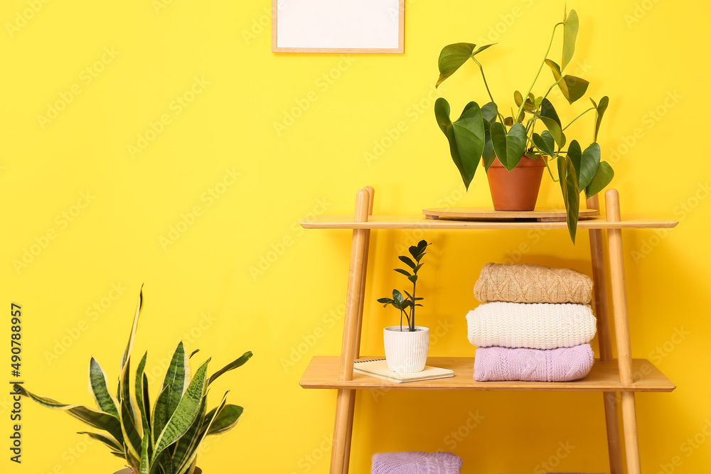 黄色墙壁附近有折叠毛衣和室内植物的架子