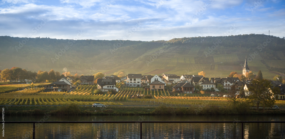 Panorama de la Moselle en Allemagne, le long des vignobles - Rhénanie 