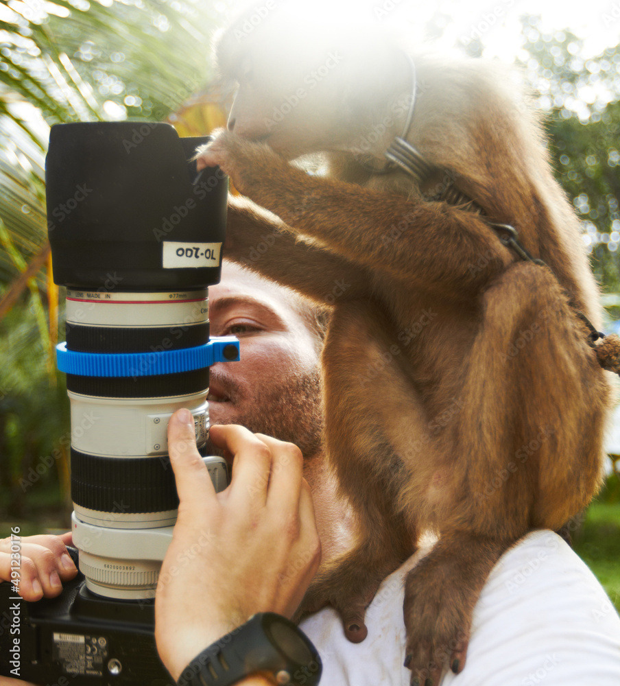 近距离接触。一只好奇的猕猴近距离观察相机的镜头。