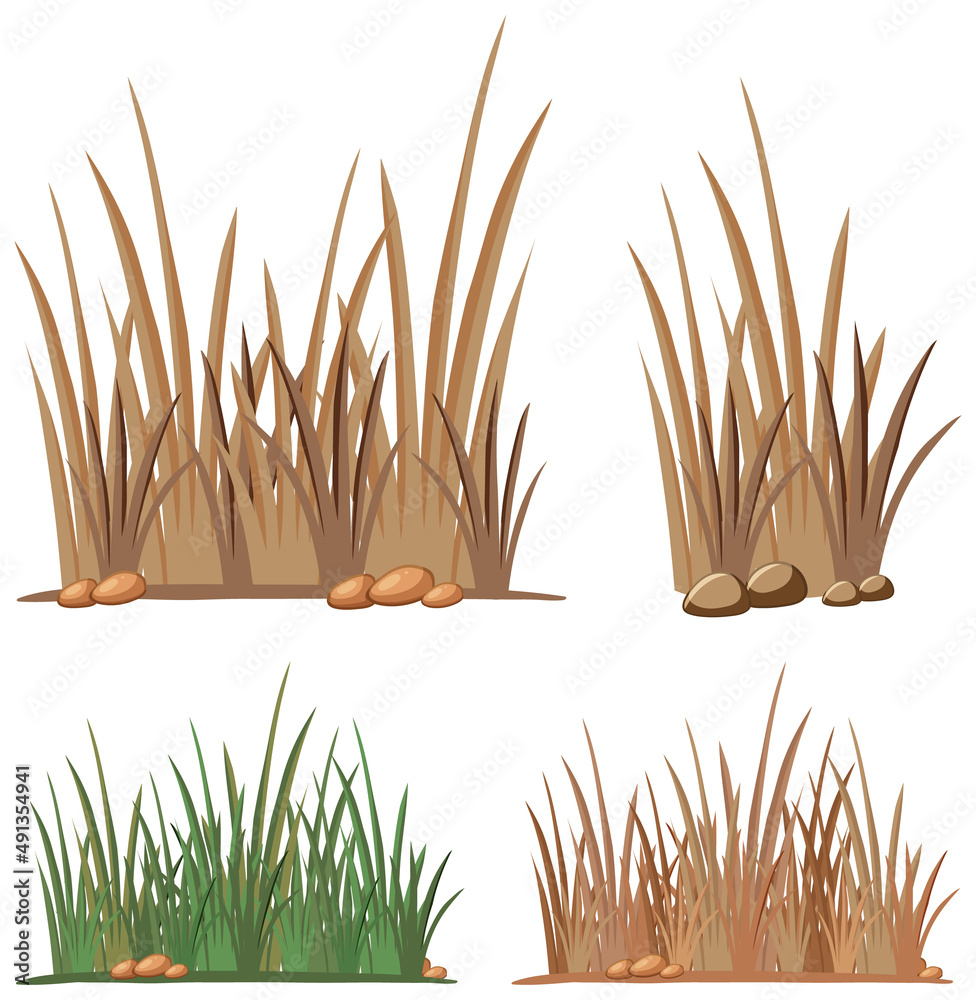 Set of different grass clumps