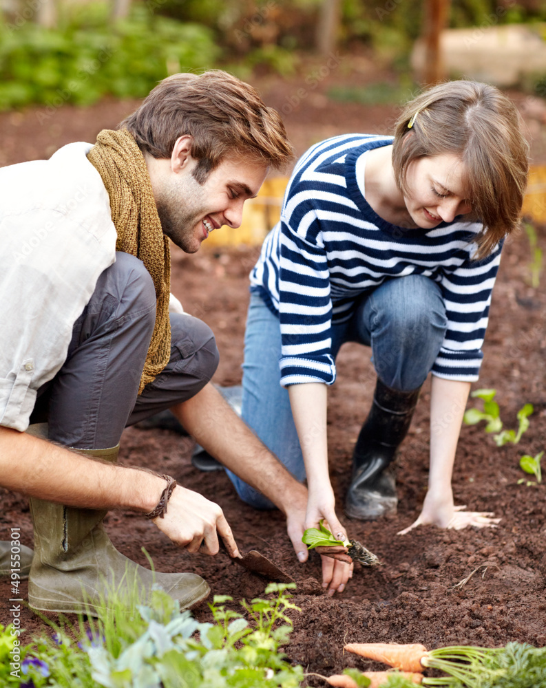 Careful planting reaps long-term rewards. Shot of a young couple planting seedlings in their vegetab